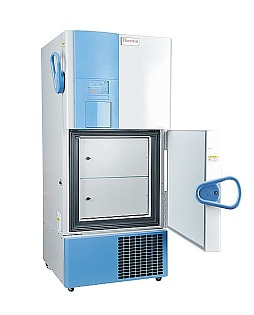 Thermo Fisher Scientific Forma 989TS 