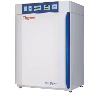 Thermo Fisher Scientific CO2 Thermo 8000 WJ 3423 