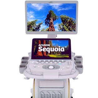 Siemens Acuson Sequoia 
