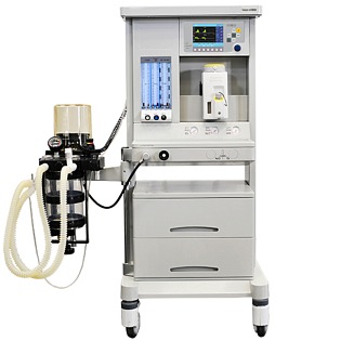Rochen VELUM AM300 