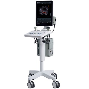 BK Medical Flex Focus 300 