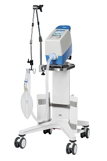 Draeger Carina 