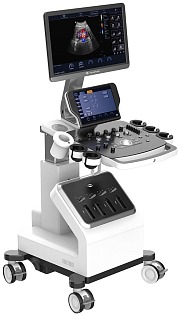 Focus Fusion Danus 10V 